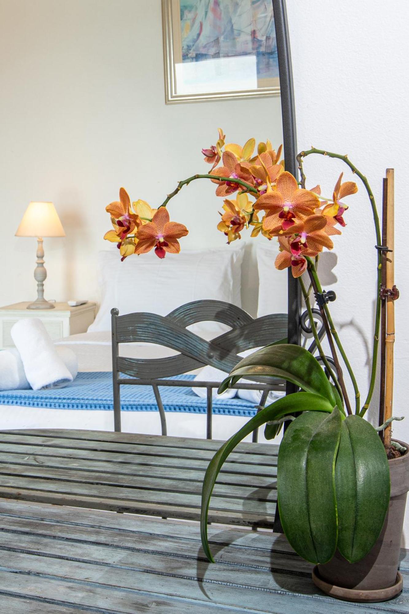 Dimitra Apartment With Private Pool And Sea View -The Ground Floor Of A Two Storey Building Daratsos Exteriér fotografie